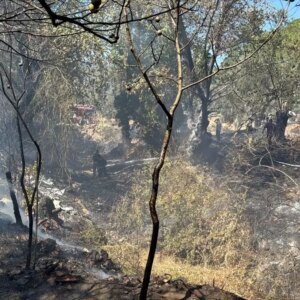 edremitte ortu yangini kontrol altina alindi jwvpqUqR