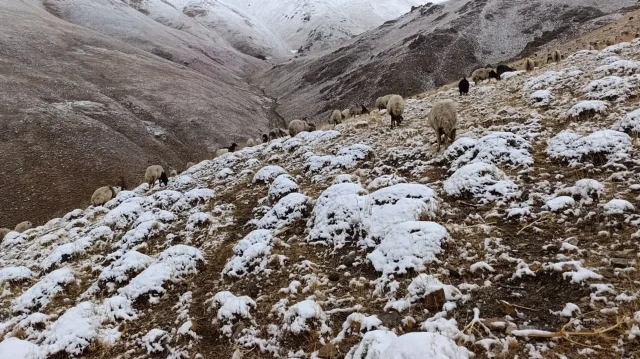 vanin yukseklerine kar yagdi hazirliksiz yakalanan cobanlar zor anlar yasadi gfRhgwgP