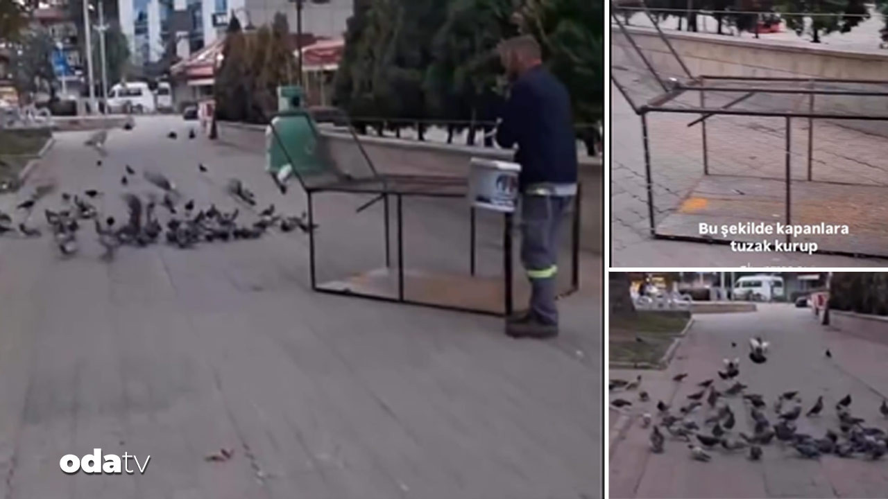 hasta dediler kafesle guvercin topladilar kopekleri bitirdiniz sira kuslara mi geldi QfHCqZ5u