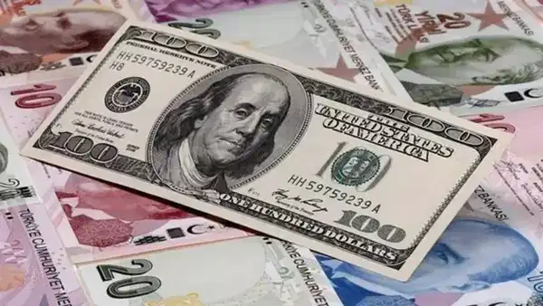 Merkez bankasi piyasa katilimcilari anketi yayimlandi yilsonu dolar beklentisi yukseldi SSAkQyJi
